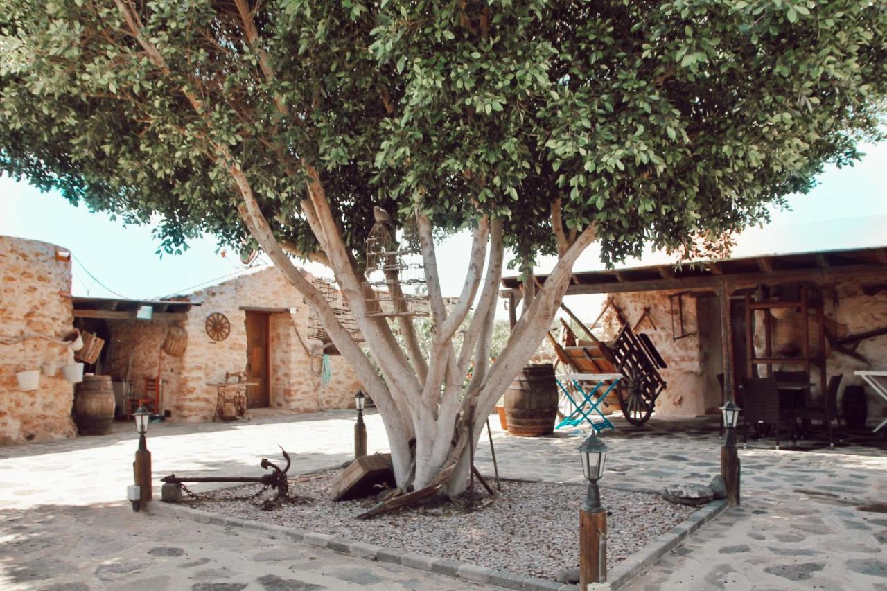 Agroturismo La Gayria Tiscamanita Luaran gambar