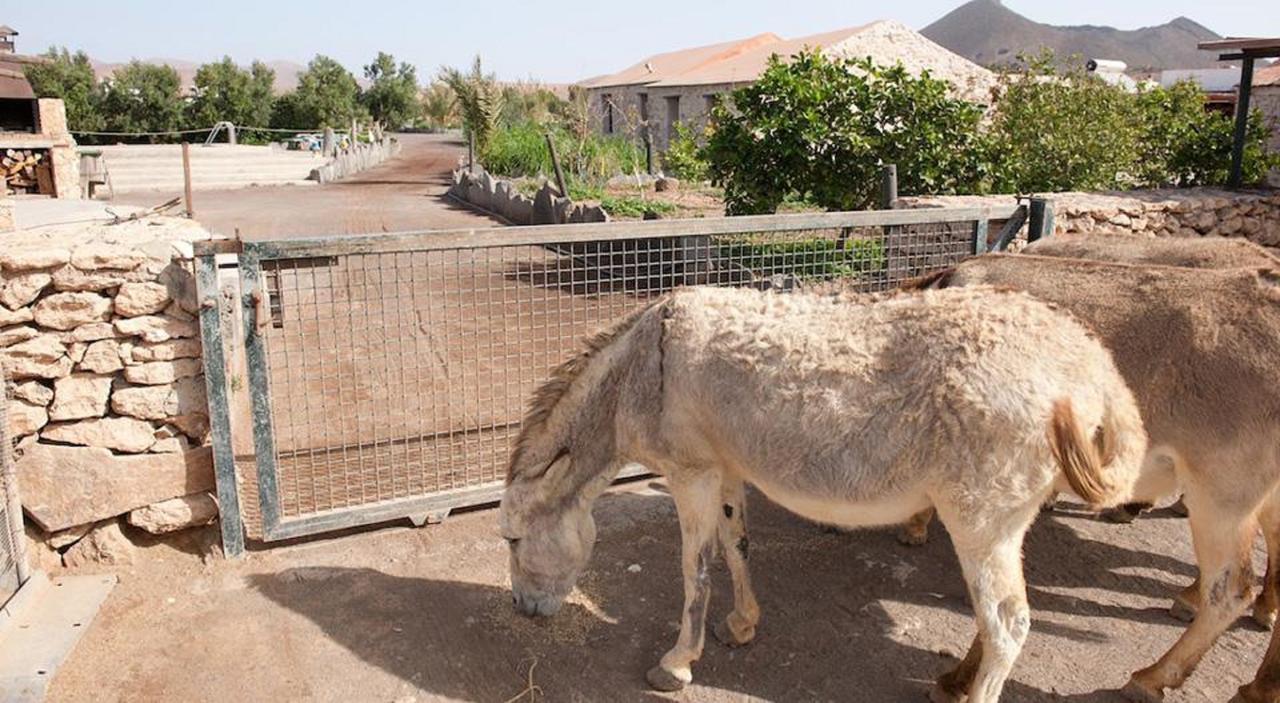 Agroturismo La Gayria Tiscamanita Luaran gambar